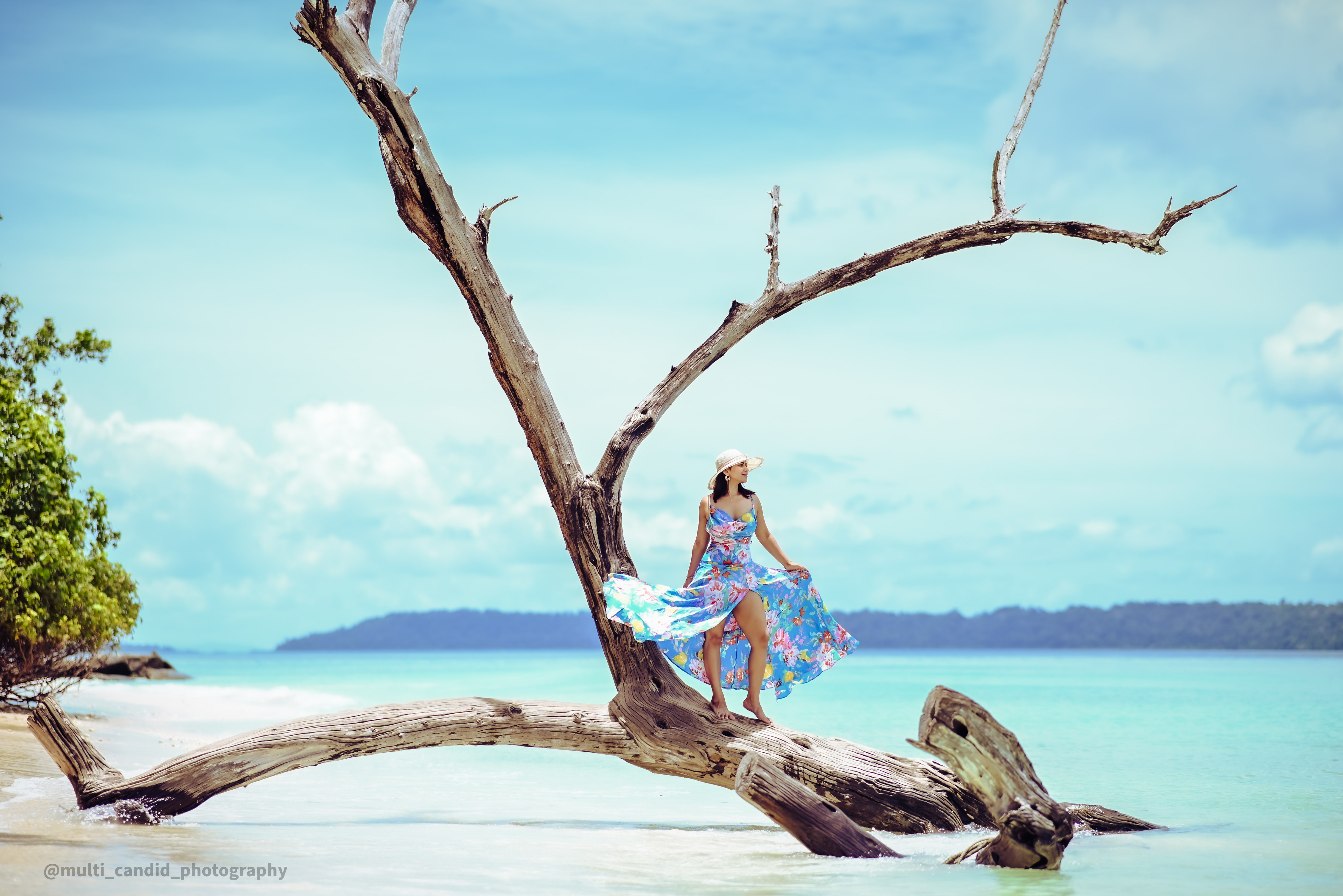 Professional Photography