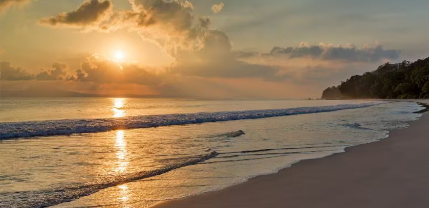  Havelock Radhanagar beach