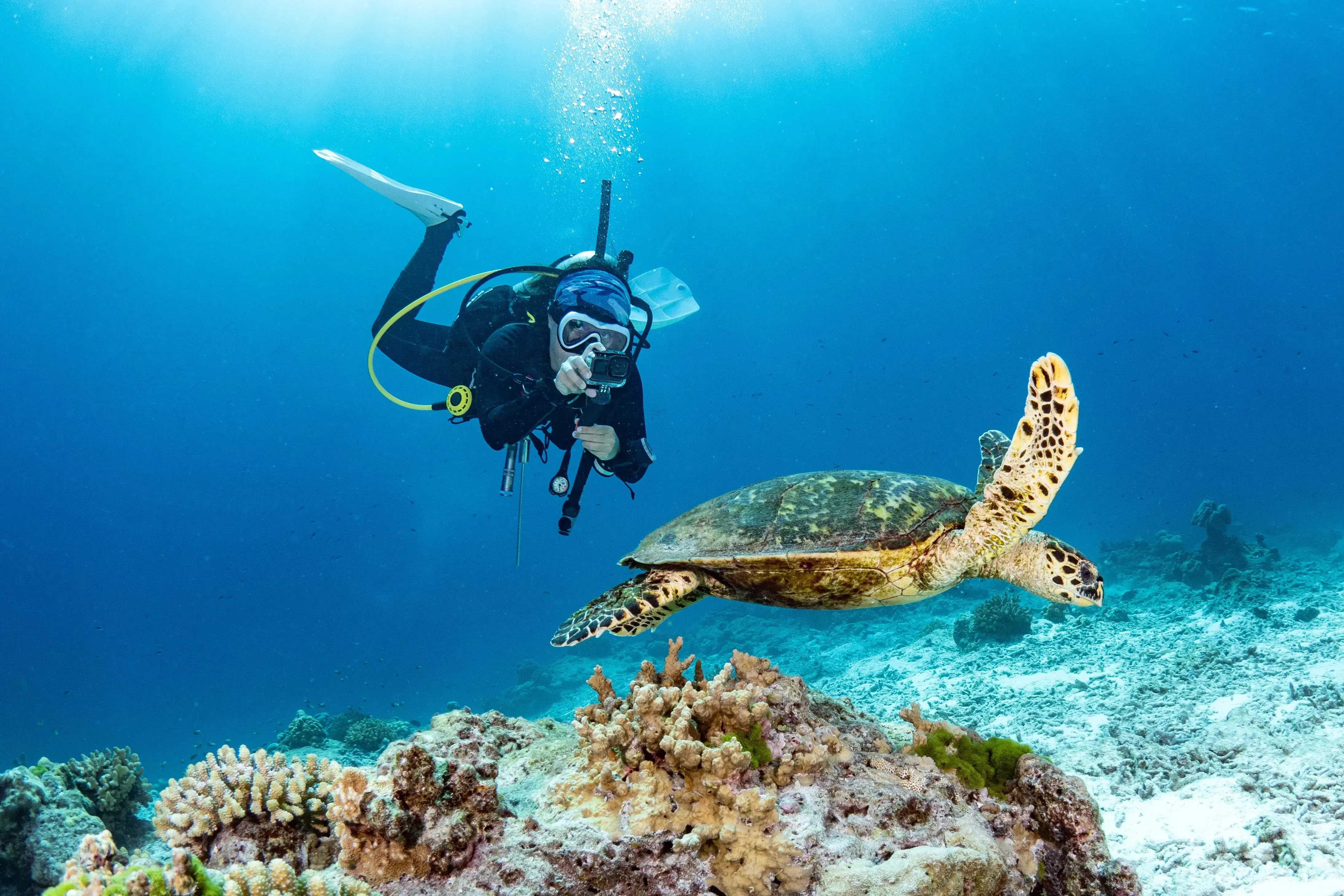 Scuba Diving In Andaman