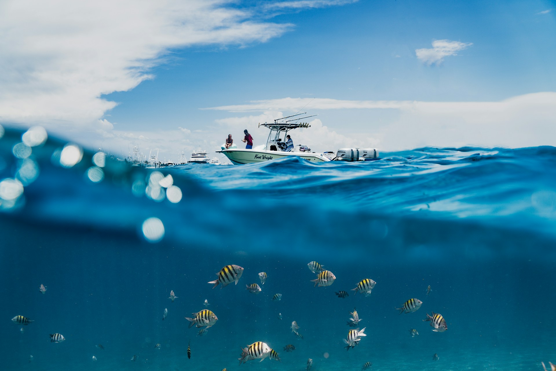 Game Fishing in Andaman Islands