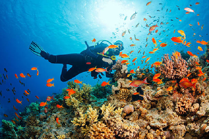 Boat Diving in Havelock