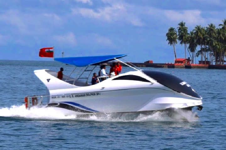 Dolphine Glass Bottom Boat