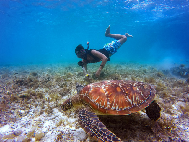 Snorkeling neil island