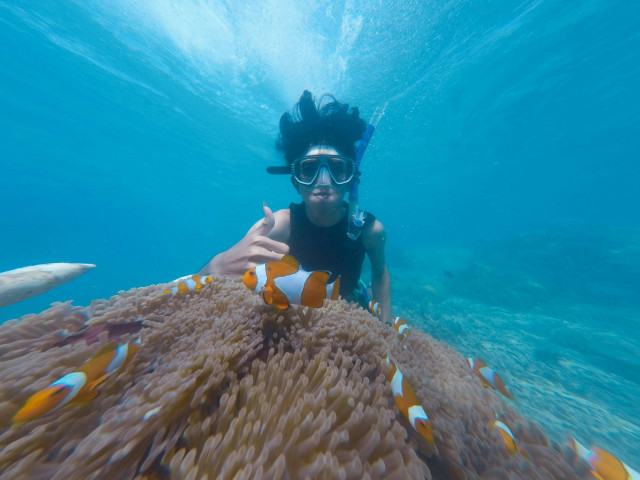 Snorkeling in northbay