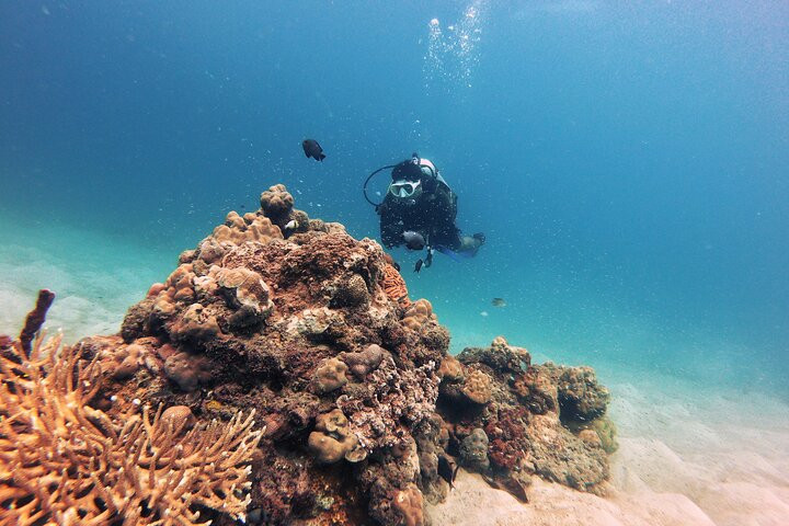 Scuba Diving in Havelock Island