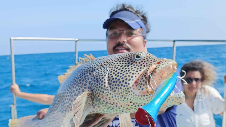 Game Fishing Havelock