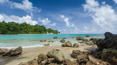 Havelock vs Neil Island: Which One Should You Pick?