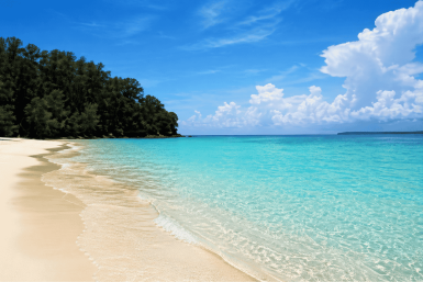 Jolly Buoy Island Travel Guide Permit, Best Time, and Hidden Rules