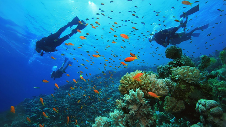 scuba diving